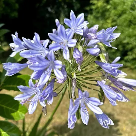 Hébergement de vacances Clos Des Hortensias